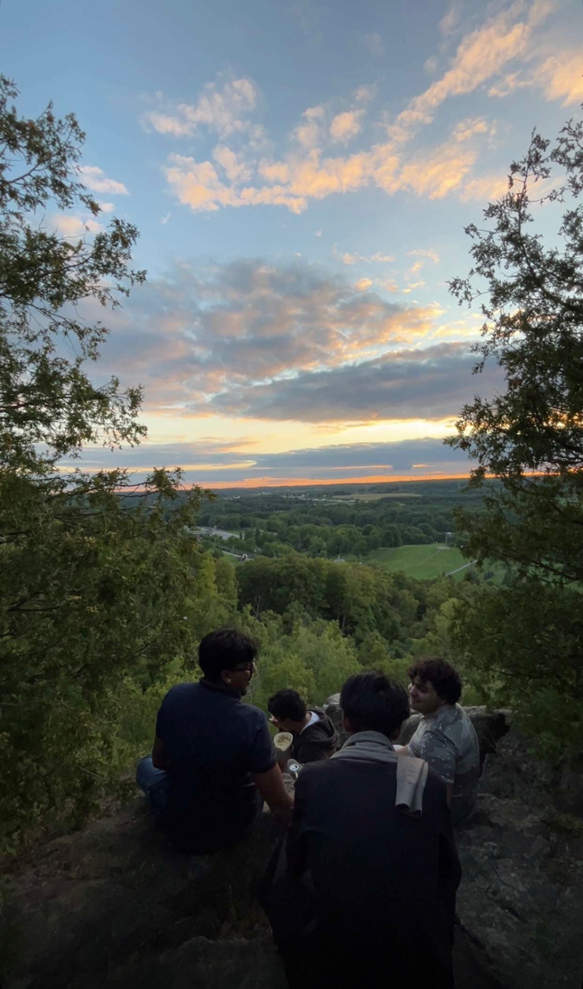 Nishant Puranik - Professional